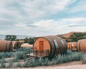 tequila from guadalajara