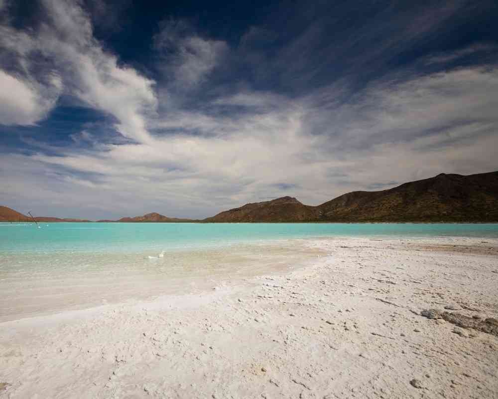 things to do in baja calfornia sur