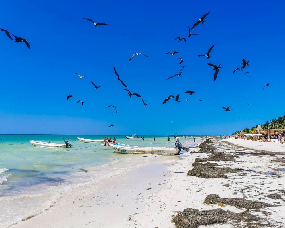 safest places in mexico