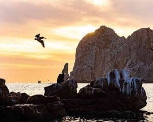 Things to do in Cabo San Lucas