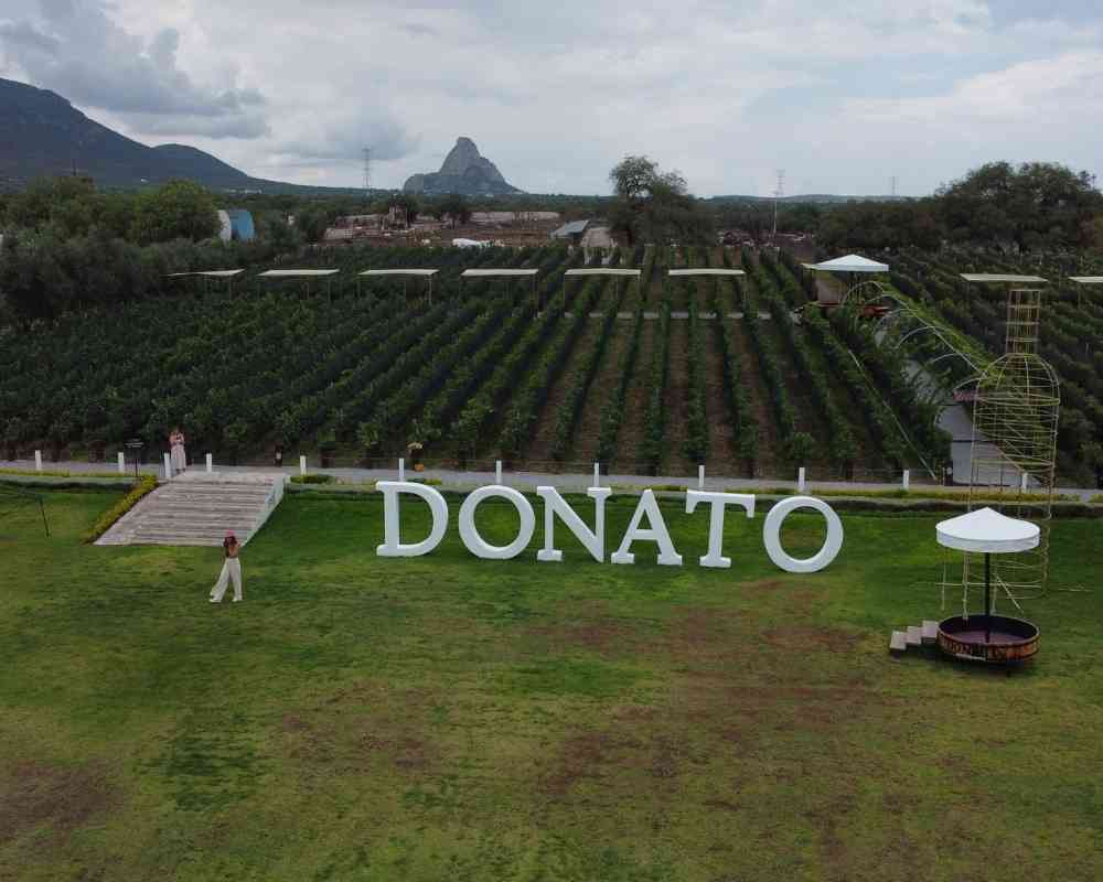 donato winery queretaro
