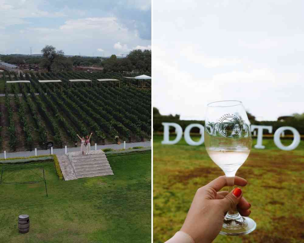 donato winery queretaro