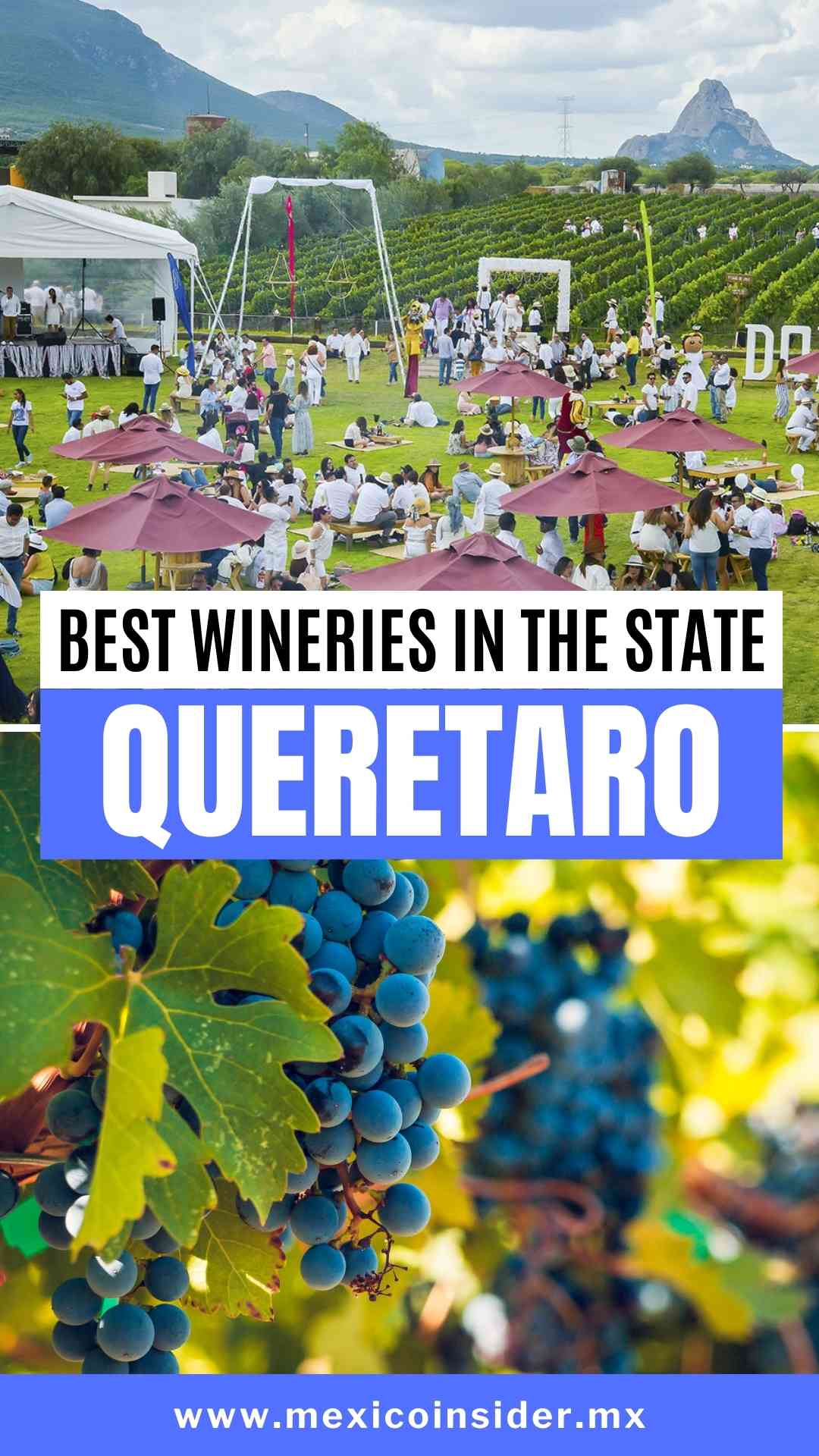 queretaro wineries