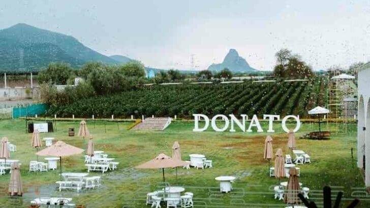 donato winery queretaro