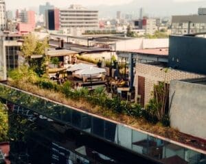 Brunch in Mexico City