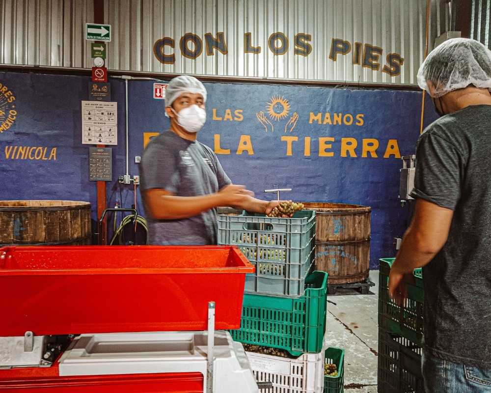 bebidas sabrosas queretaro