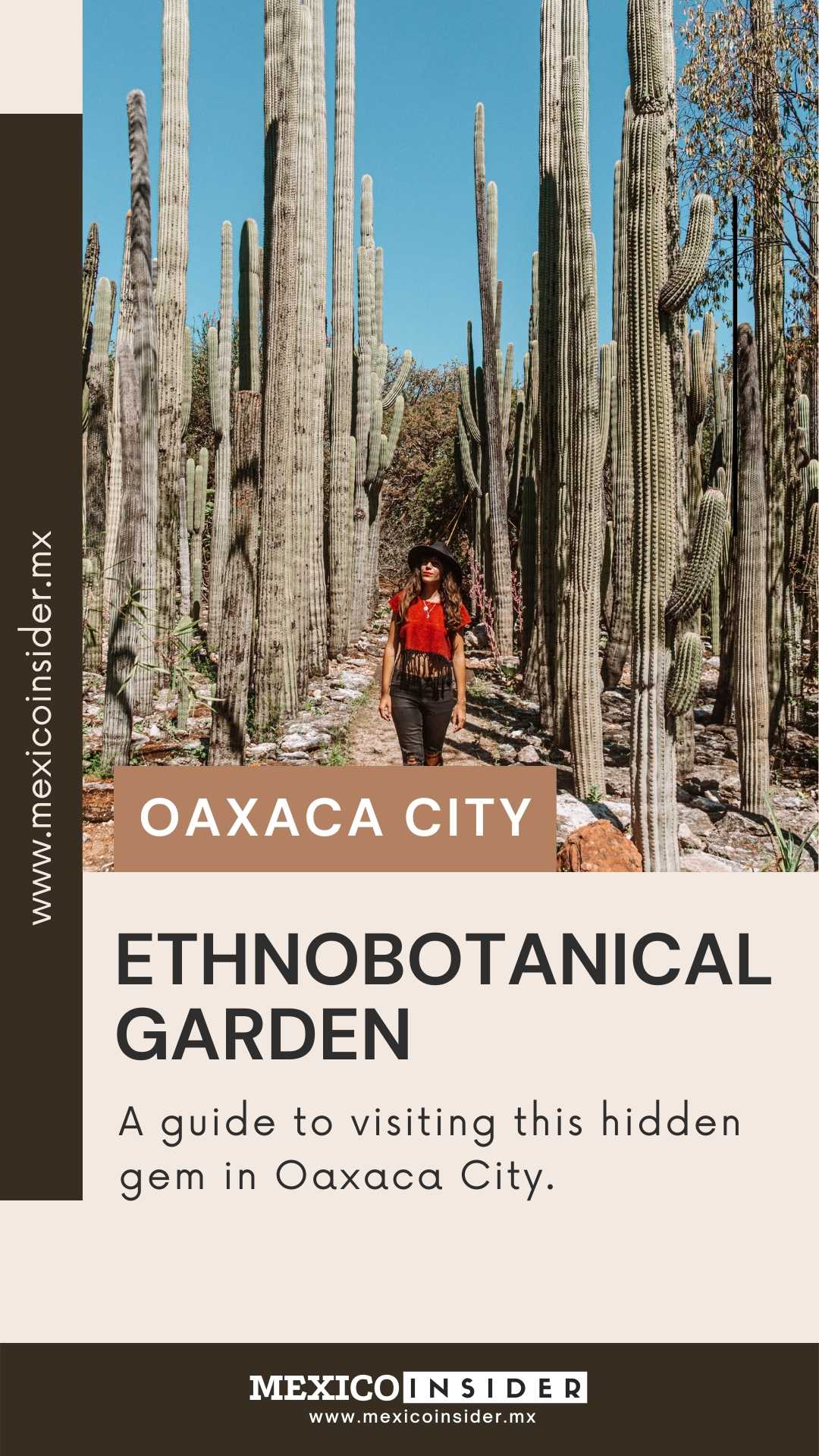 oaxaca ethnobotanical garden