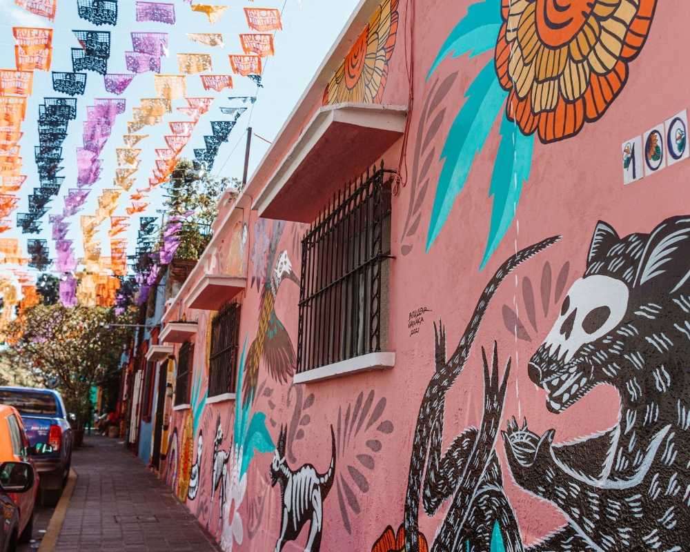 how to get to oaxaca mexico