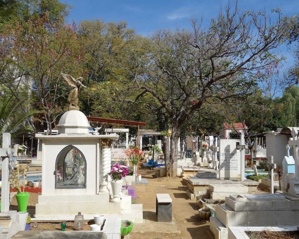 places to visit in oaxaca city