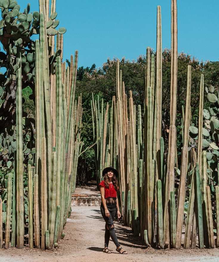 Inside Oaxaca’s lesser known Ethnobotanical Garden