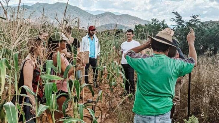 oaxaca mezcal tour