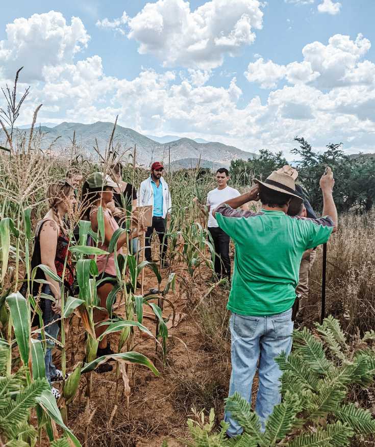 oaxaca mezcal tour