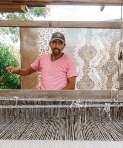 Alternative view of [Oaxaca City] Oaxaca Textile Tour (Private)