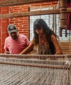 oaxaca textile tour