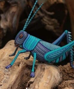 Alternative view of [Oaxaca City] Oaxacan Small Towns Hop (Private)