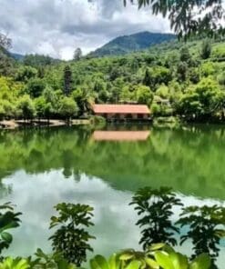 Alternative view of [Oaxaca City] Sierra Juarez Adventure Tour (Private)