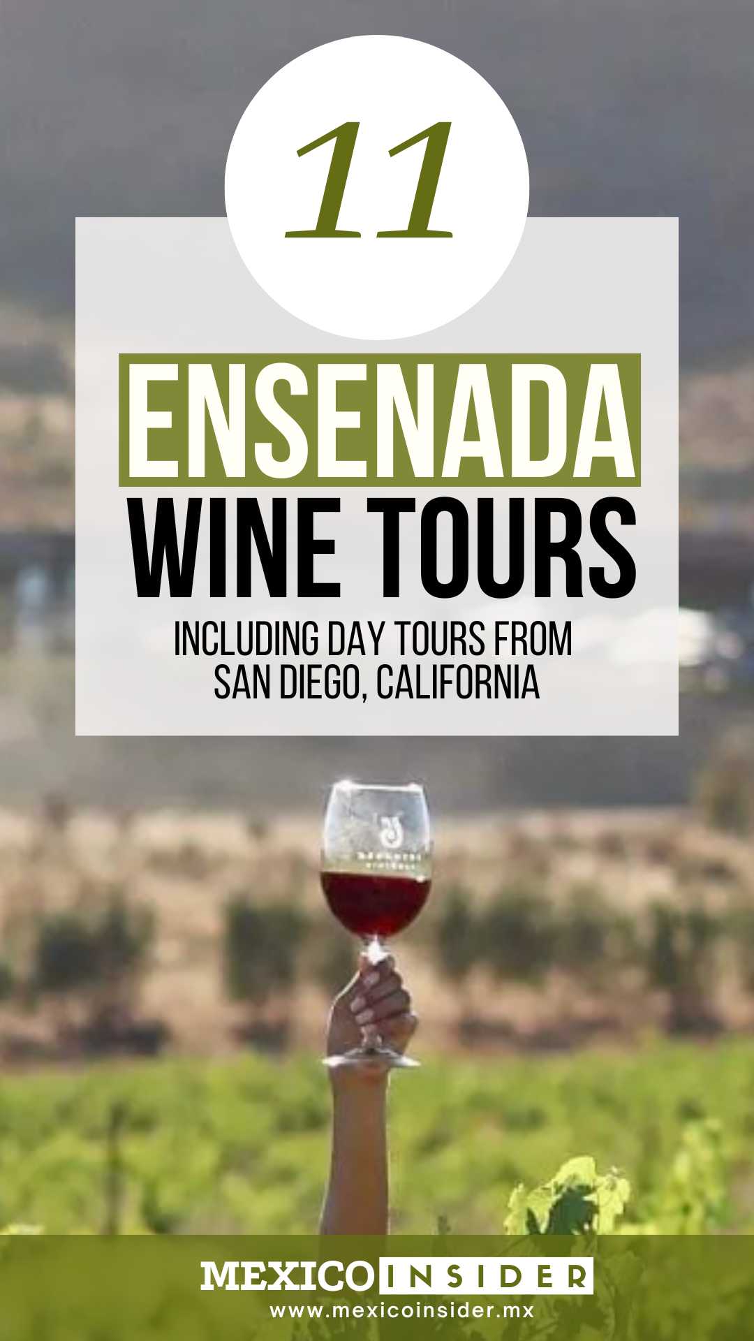 valle de guadalupe wine tours