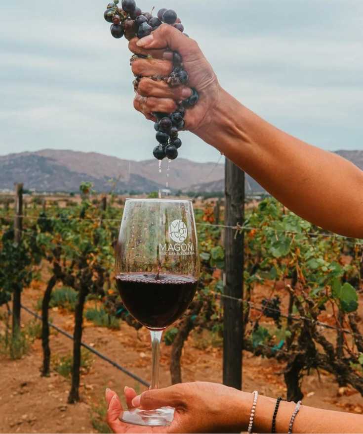 valle de guadalupe travel guide