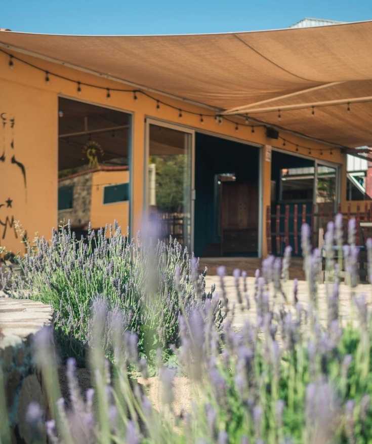 valle de guadalupe travel guide