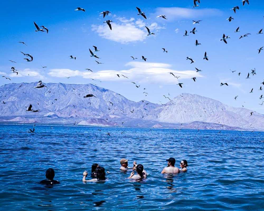 best places to visit in baja california mexico