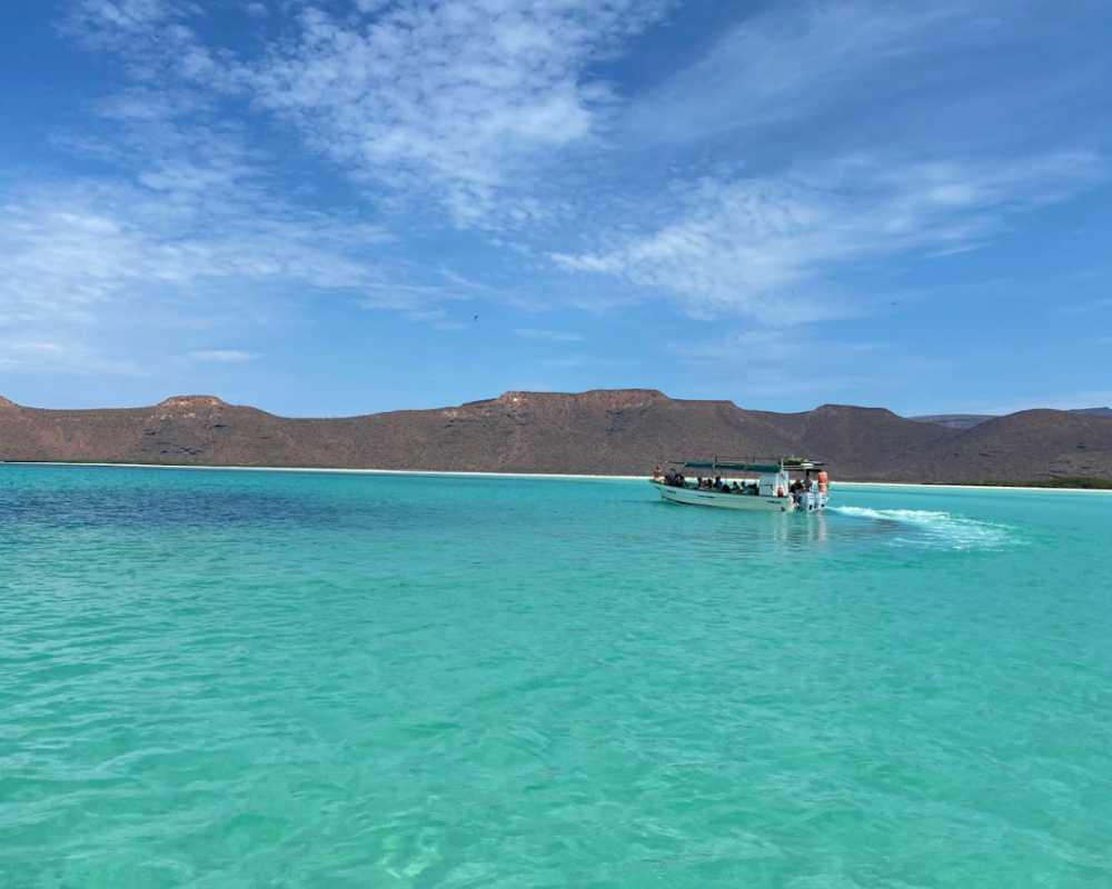 things to do in la paz mexico