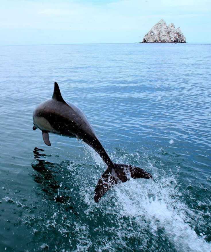 best places to visit in baja california mexico