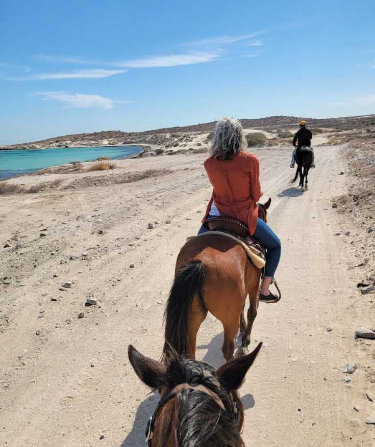 tours in la paz mexico