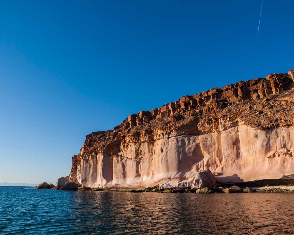 la paz boat tours