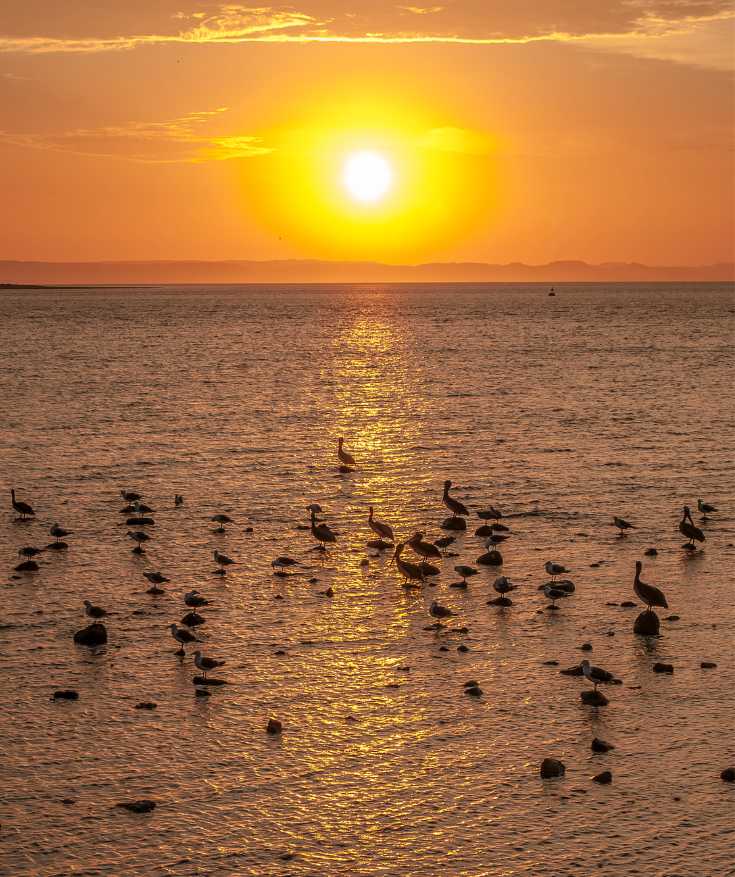 tours in la paz mexico