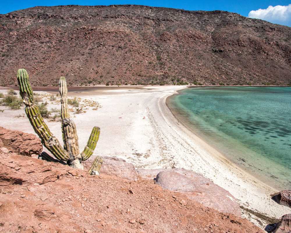 tours in la paz mexico