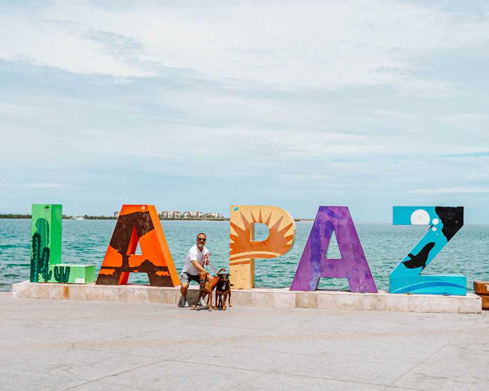 things to do in la paz mexico