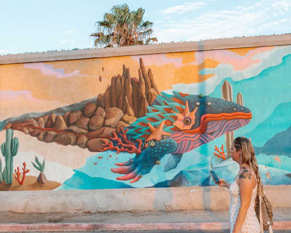 things to do in la paz mexico