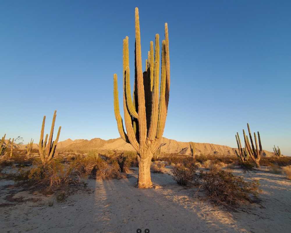 baja california destinations