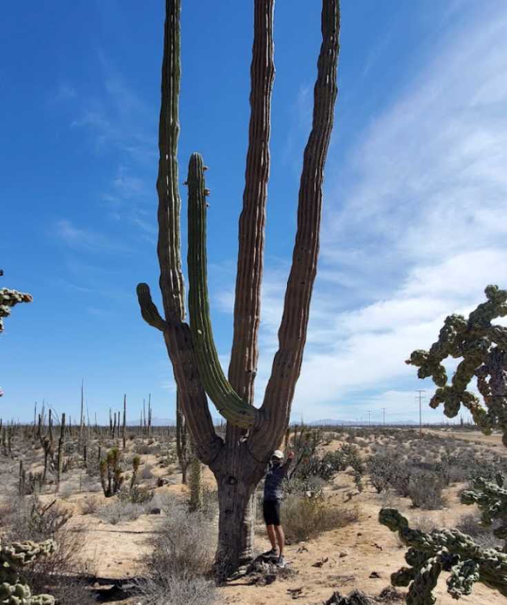 best places to visit in baja california mexico