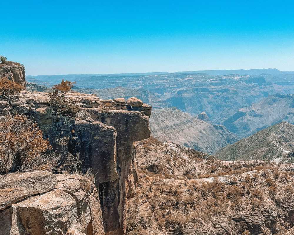 chihuahua travel guide