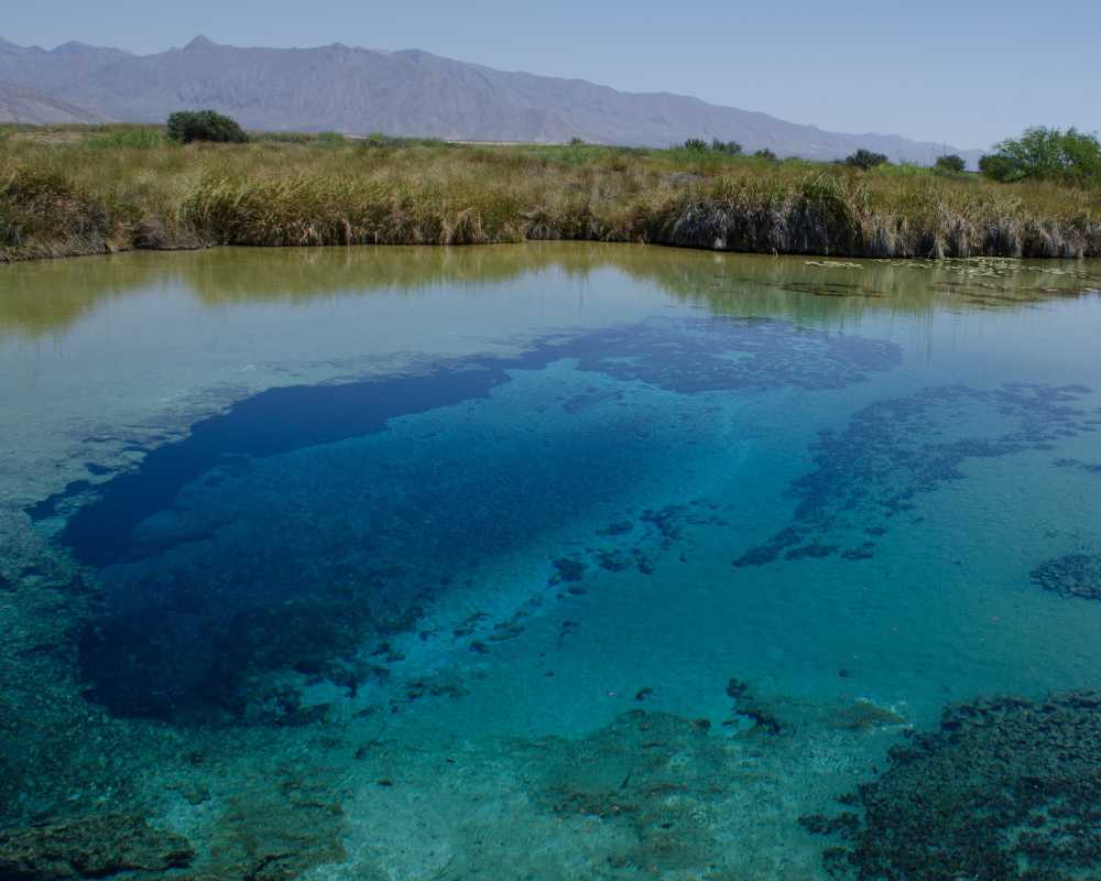 coahuila