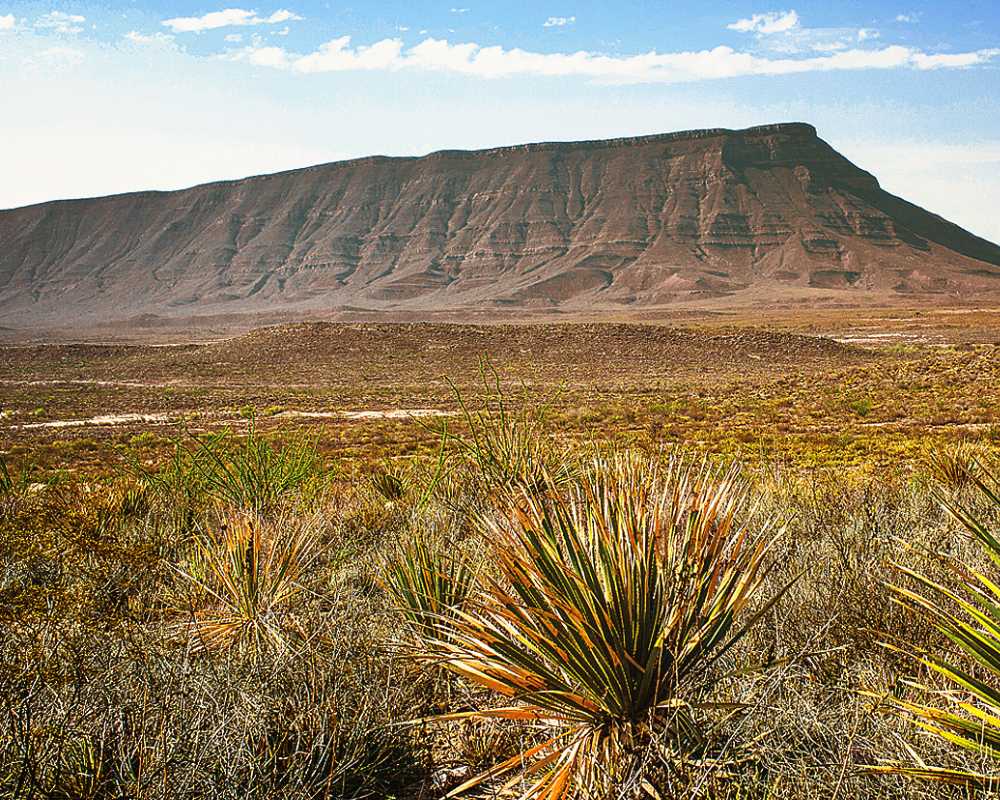 coahuila travel guide