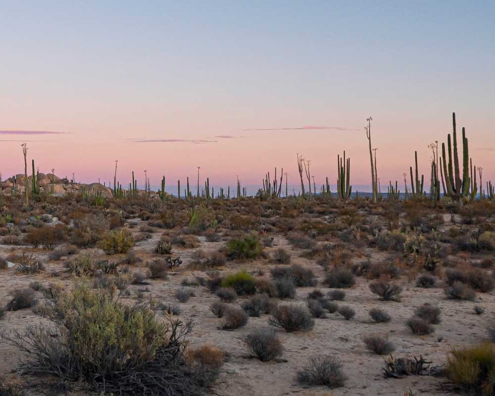 baja california travel guide