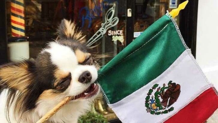 best places to live in Mexico
