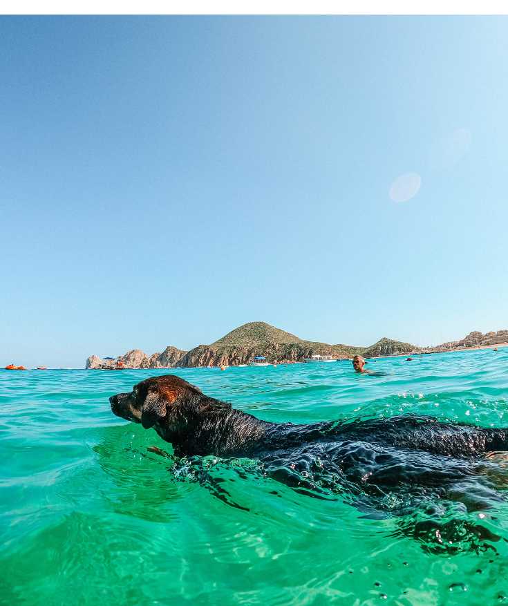 arch of cabo san lucas