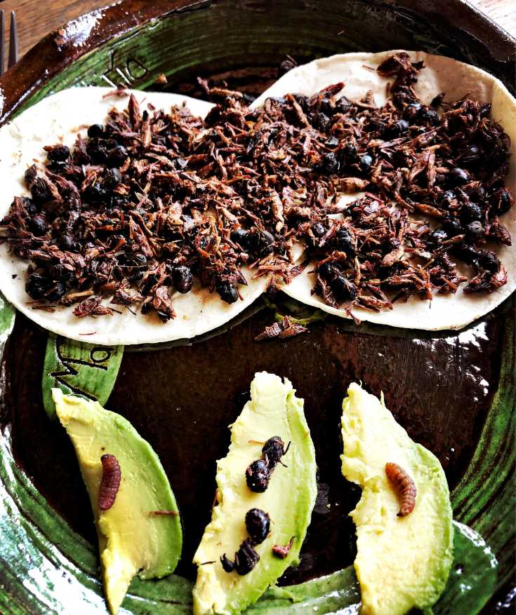 oaxaca street food