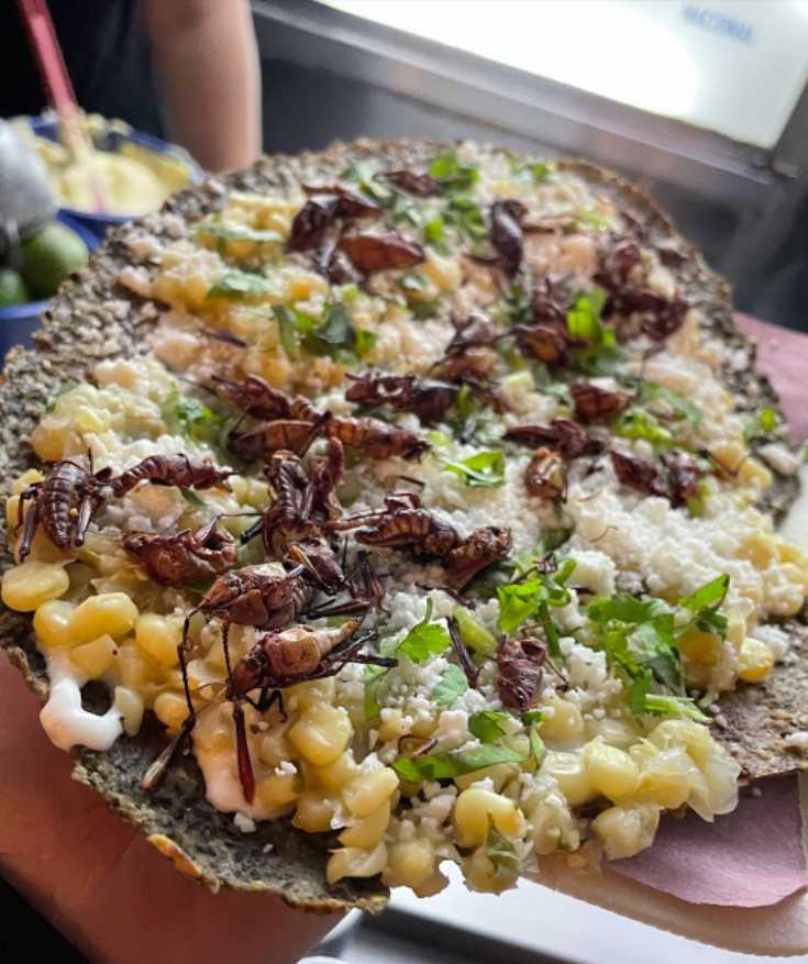 roma mexico city street food