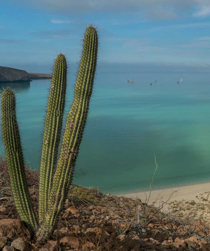 mexico in february