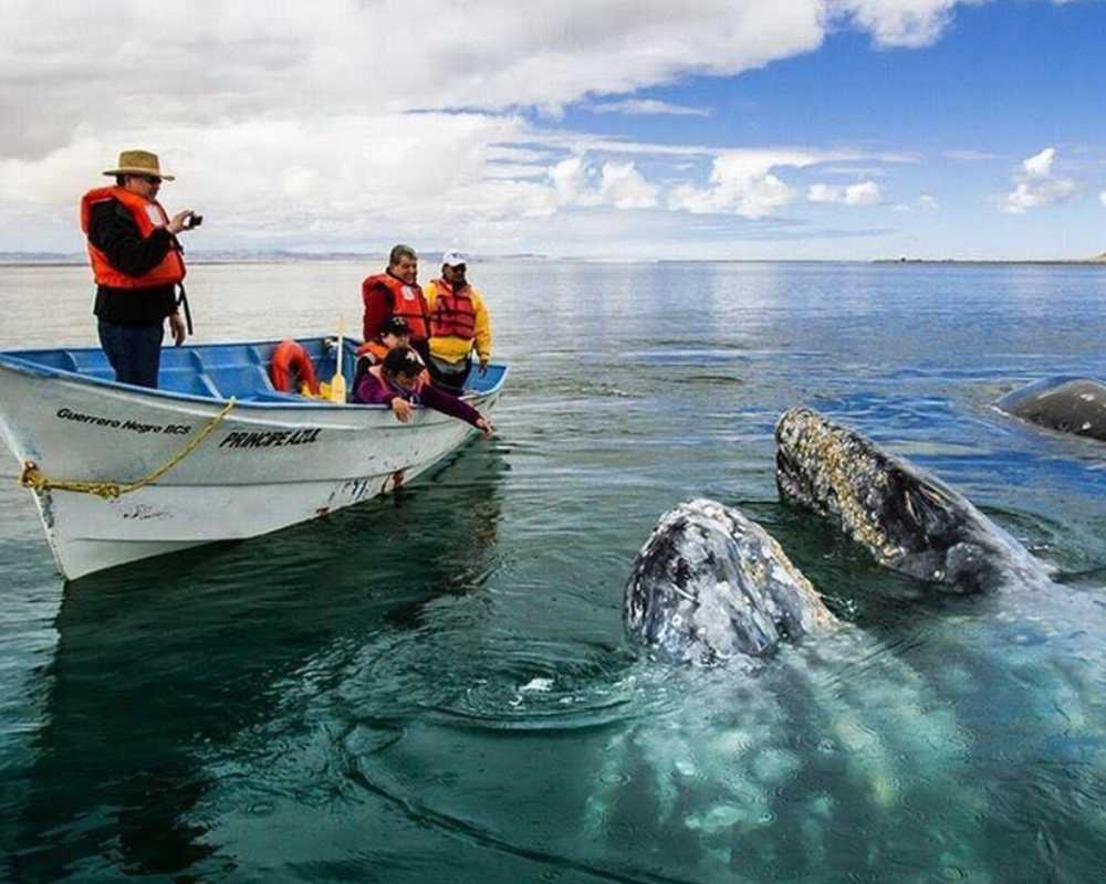 february in mexico