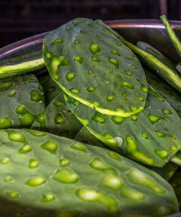 food from oaxaca