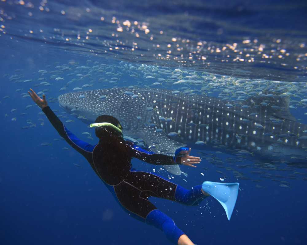 cancun boat tours