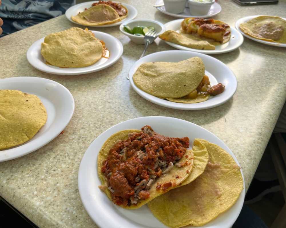 roma mexico city street food