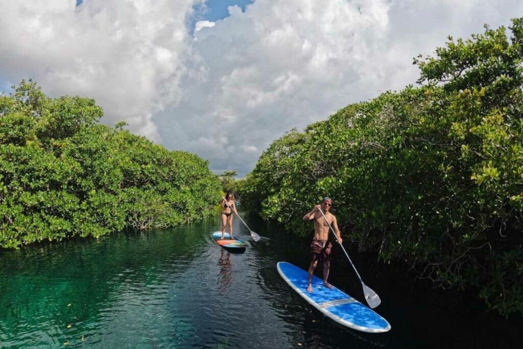 Casa Cenote