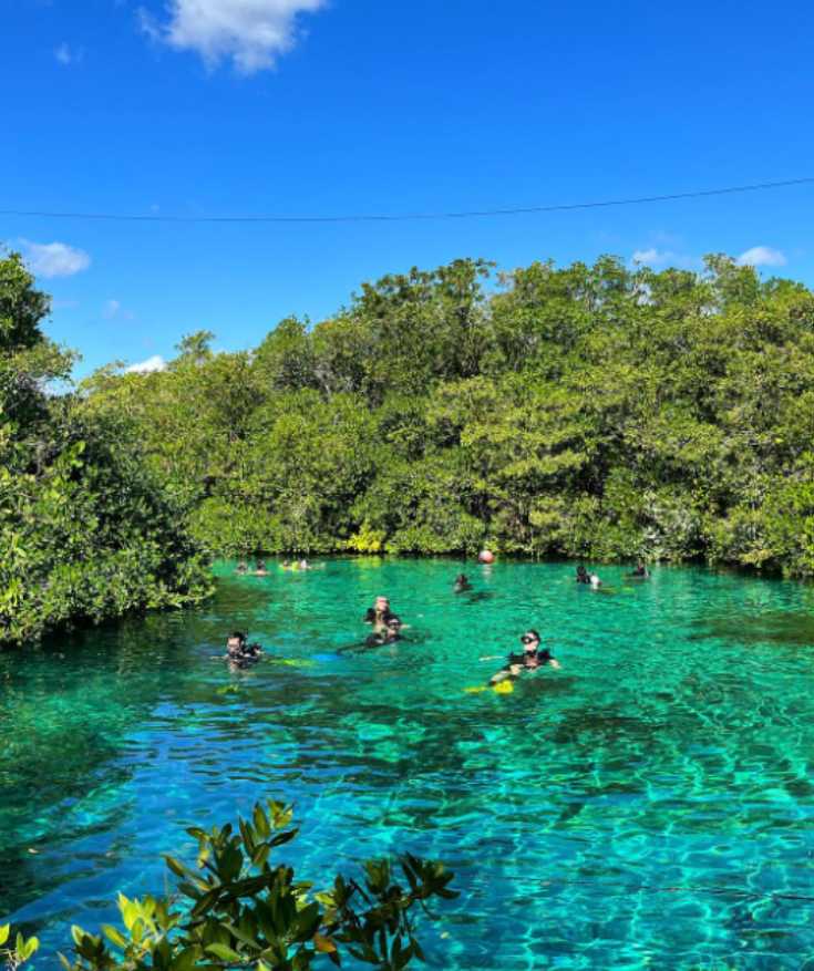 Casa Cenote Travel Guide: is this Tulum’s best cenote?