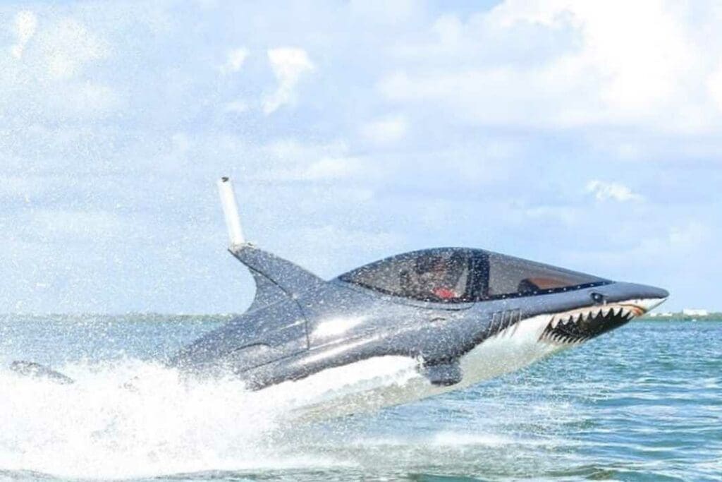 things to do in cancun
